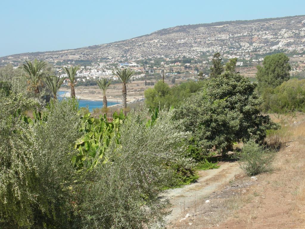 Villa Despoina Paphos ภายนอก รูปภาพ