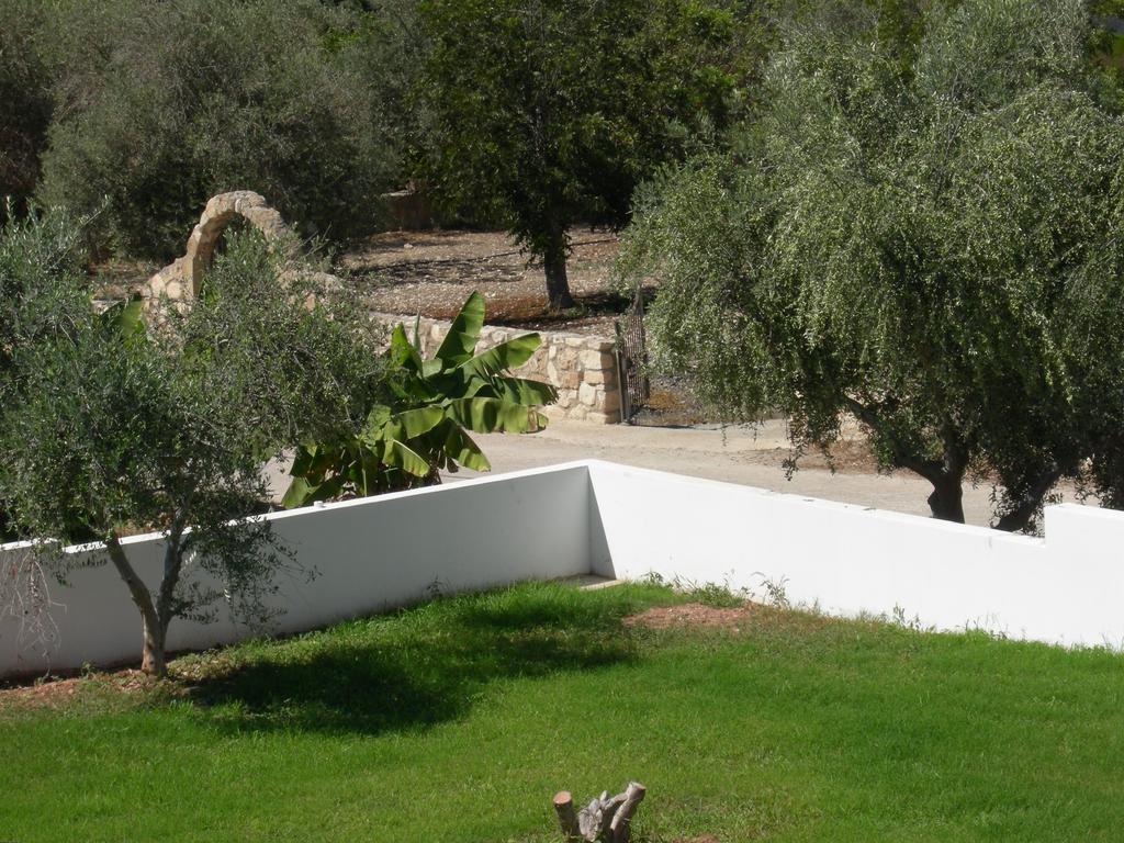 Villa Despoina Paphos ภายนอก รูปภาพ
