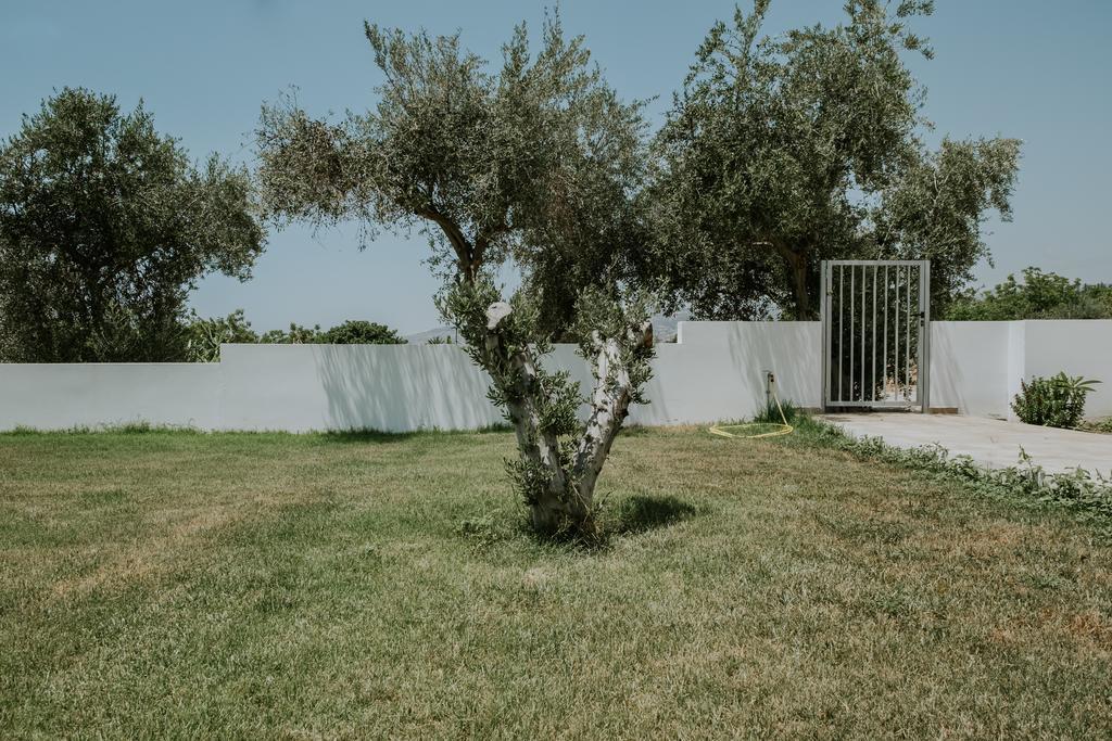 Villa Despoina Paphos ภายนอก รูปภาพ